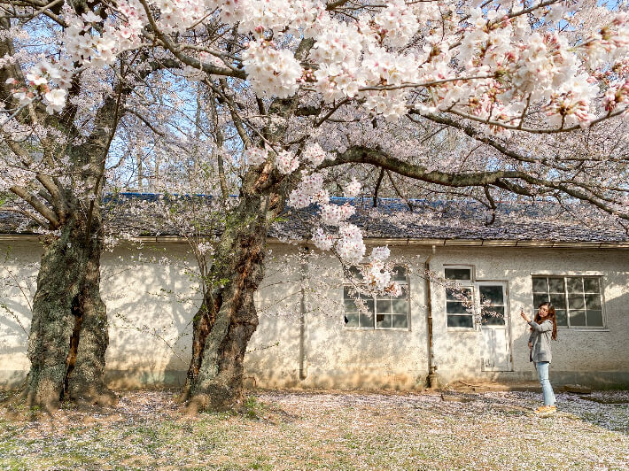 동부사택