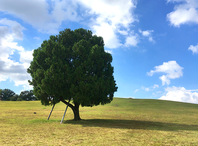 올림픽공원-풍경36