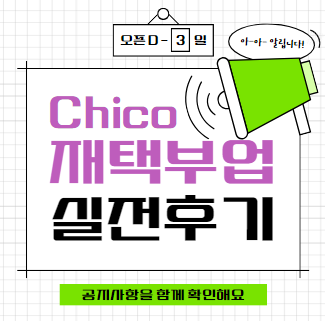Chico의 재택부업 실전후기
