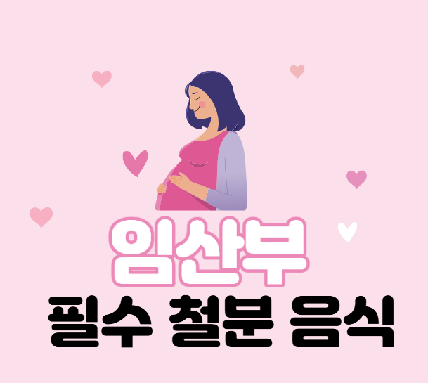 임산부가 먹어야하는 철분 많은 음식
