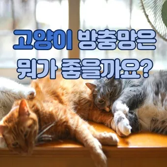 &amp;quot;고양이