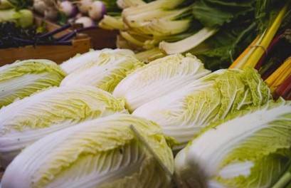 괴산 배추절임 20kg 주문