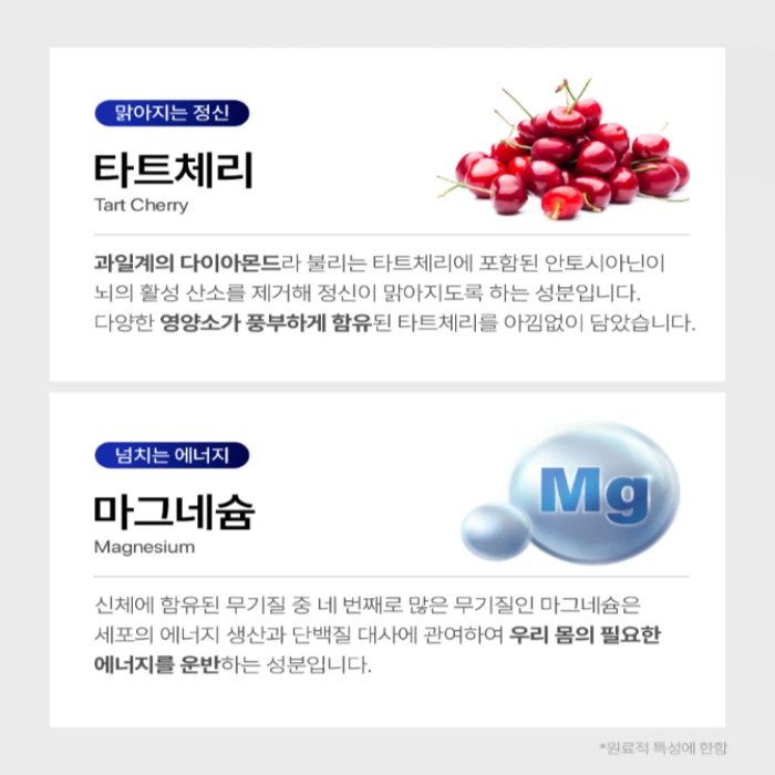 뉴티365 뉴티캄 내돈내산 후기 효과 성분 부작용 복용법 가격