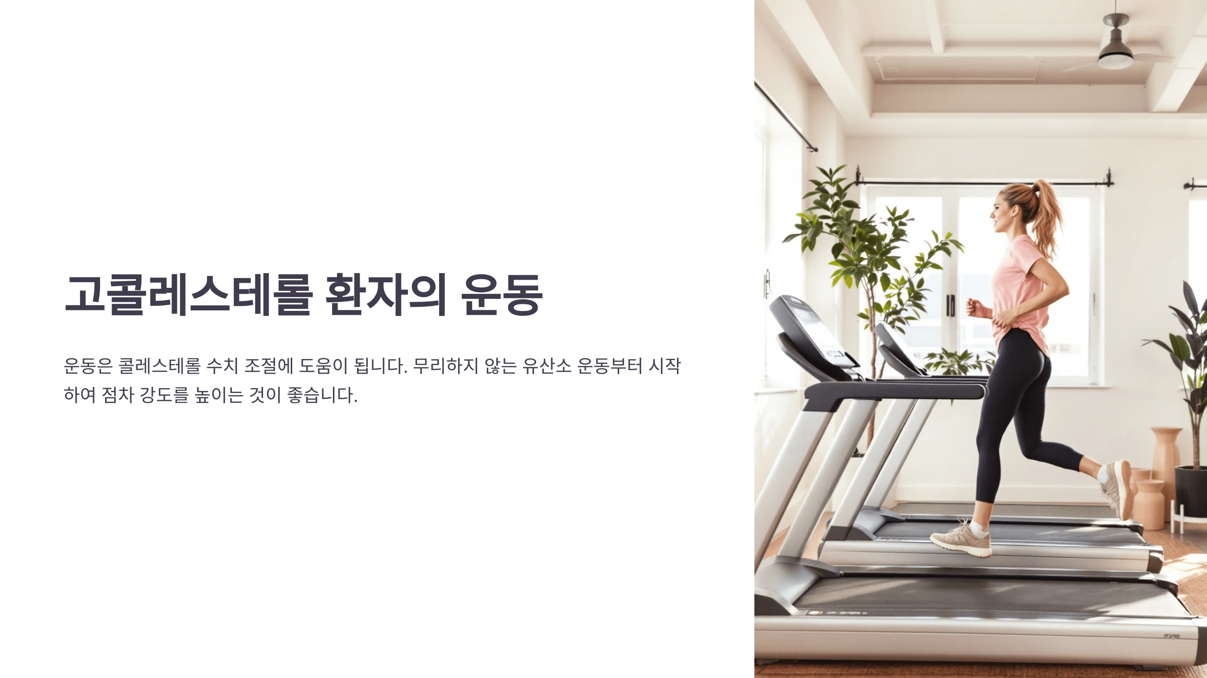 콜레스테롤과 관련된 사진입니다.