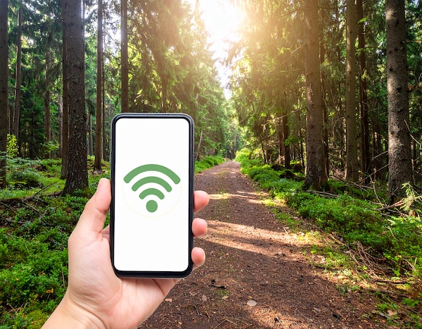 국립자연휴양림 벤치에서 쉬는 가족