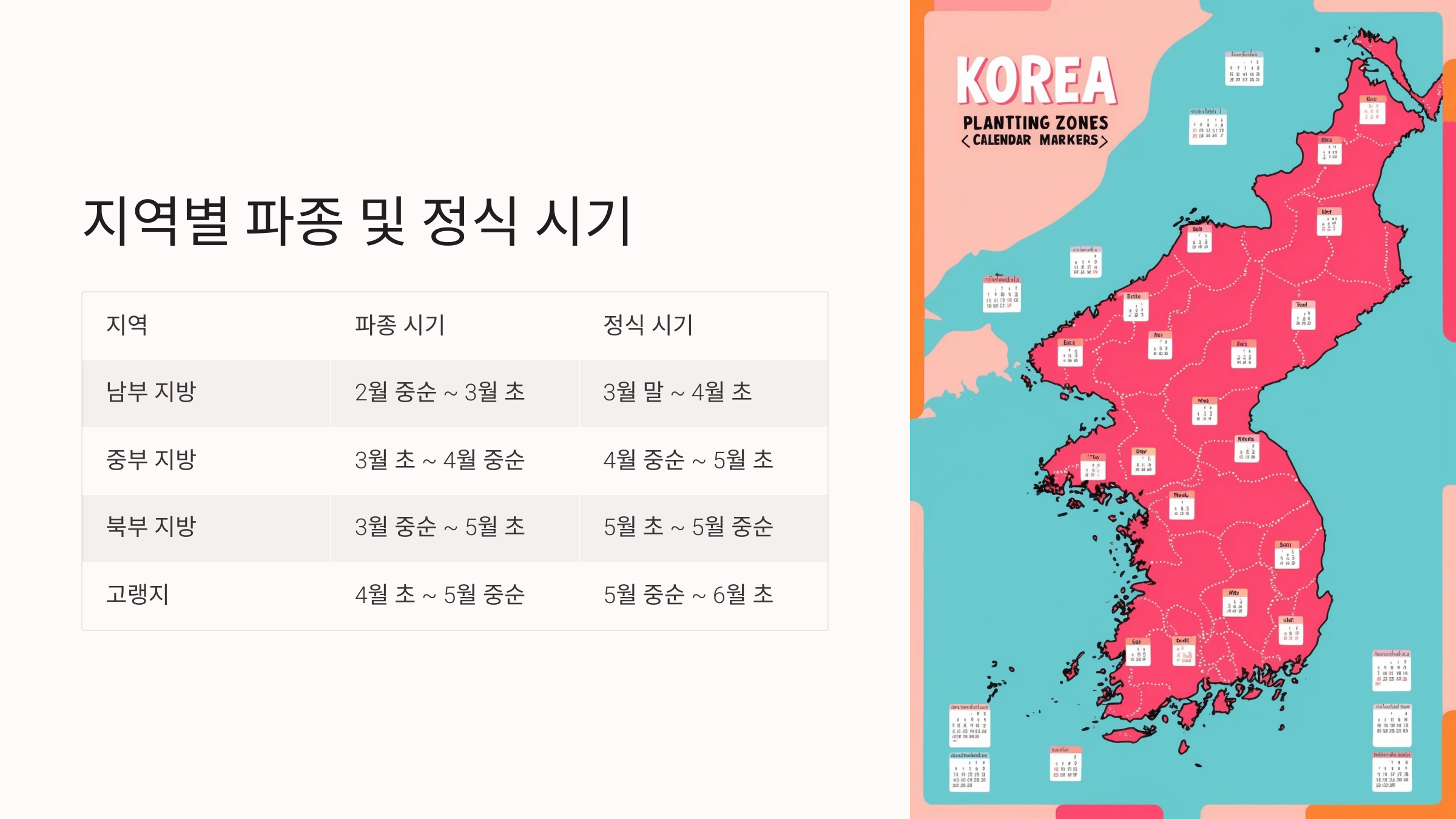 토마토 사진입니다.