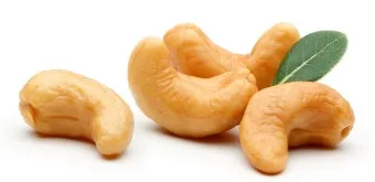 캐슈넛 효능 부작용 섭취량_1