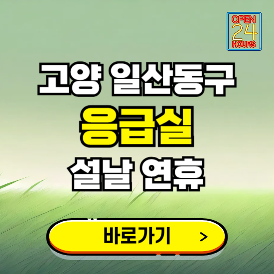 고양시 일산동구 설날 연휴 비상진료 응급실 병원 찾기 ❘ 내근처 24시 야간 심야 휴일 가능한 곳