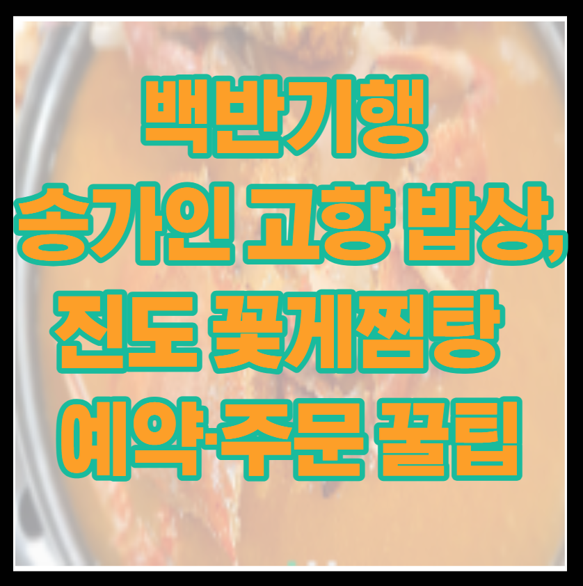 백반기행 진도 송가인 고향 밥상, 진도 꽃게찜탕 신호등회관 예약·주문 꿀팁