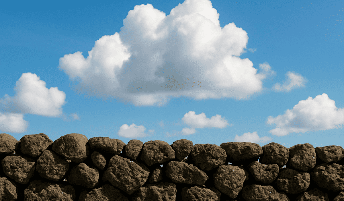 제주렌트카비교사이트_25