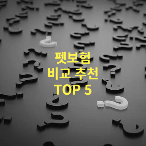 펫보험(강아지, 고양이) 비교 추천 Top 5