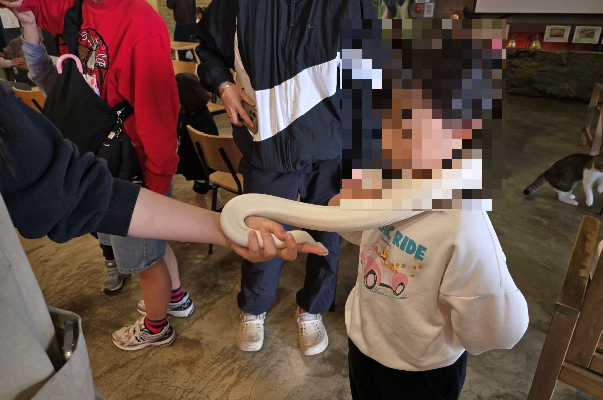 뱀-만지기-체험