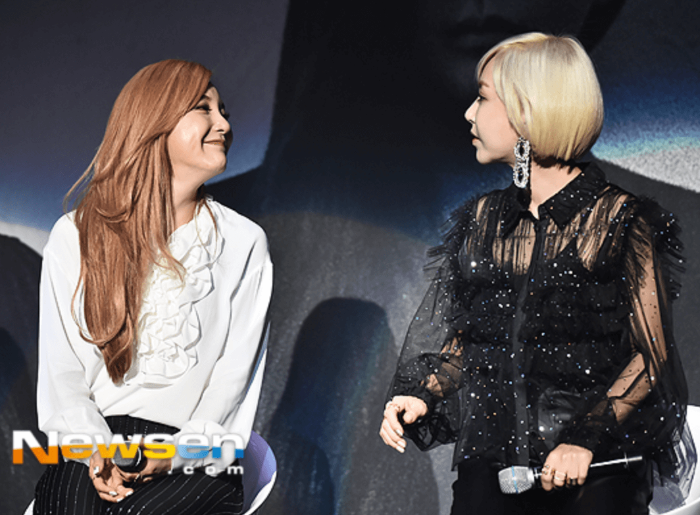 바다와 슈