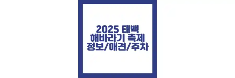 태백 해바라기 축제 2025 포스팅 섬네일