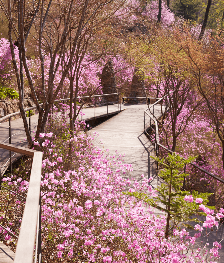 화담숲 주변 맛집