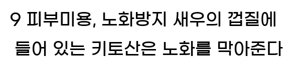  9 피부미용, 노화방지 새우의 껍질에 들어 있는 키토산은 노화를 막아준다