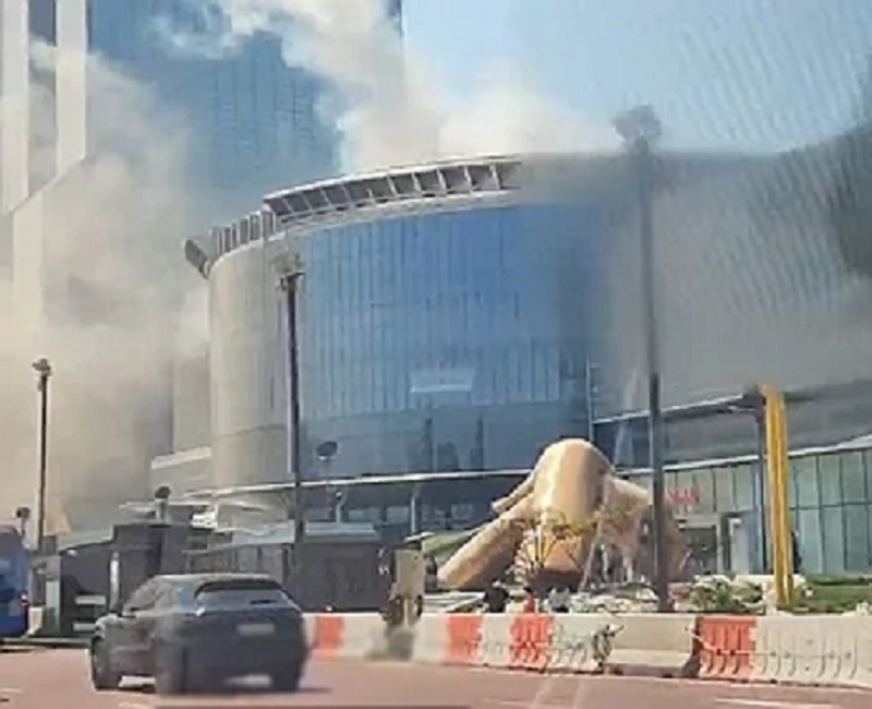 월드IT쇼 2025- 갑작스러운 중단