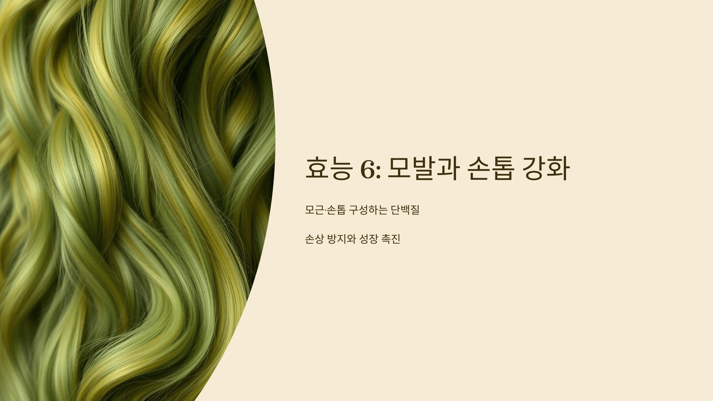 콜라겐 사진입니다.