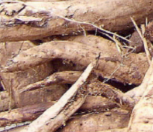 칡즙의 효능과 주의사항 그리고 좋은 칡즙을 고르는 법과 효과적으로 먹는방법