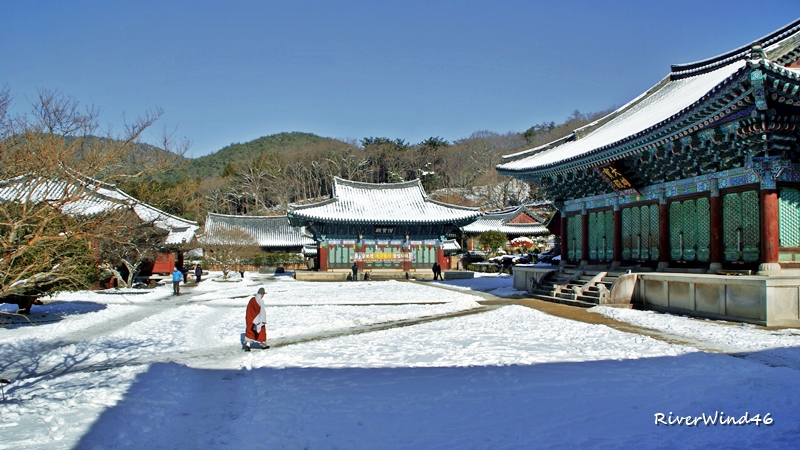 송광사 설경(松廣寺 雪景)