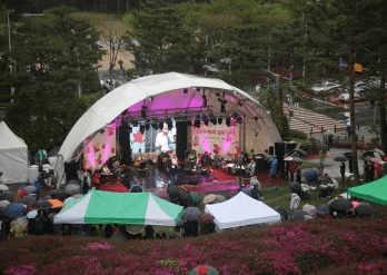 군포철쭉축제
