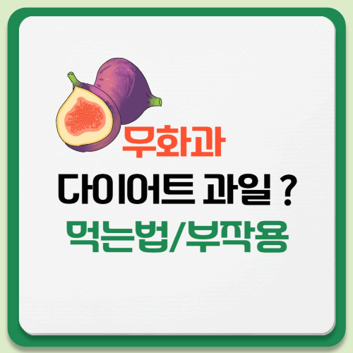 무화과 다이어트 먹는 법 ❘ 하루 권장량과 부작용까지