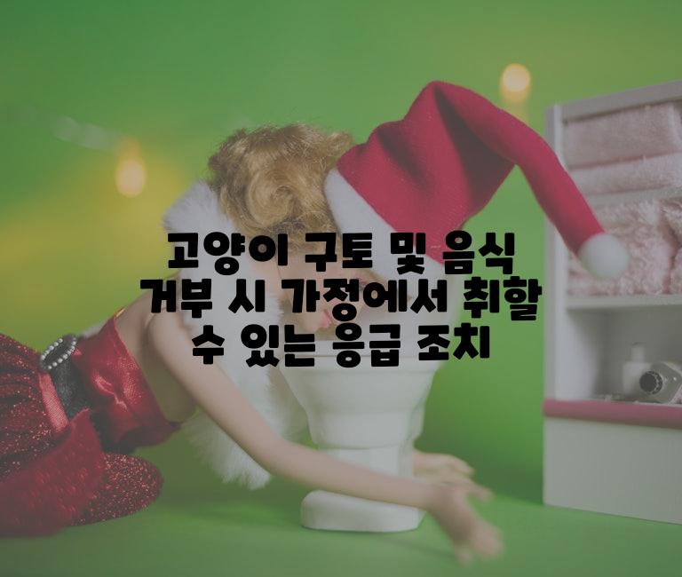 고양이 구토 및 음식 거부 시 가정에서 취할 수 있는 응급 조치