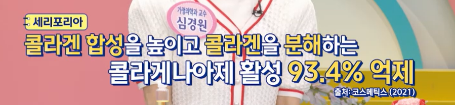 세리포리아