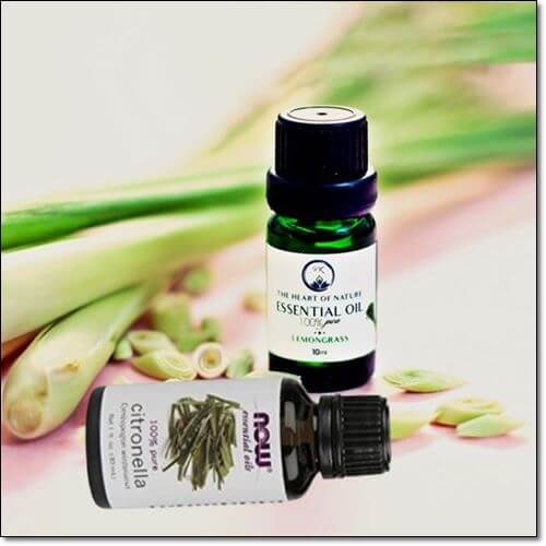 시트로넬랄 오일 효능