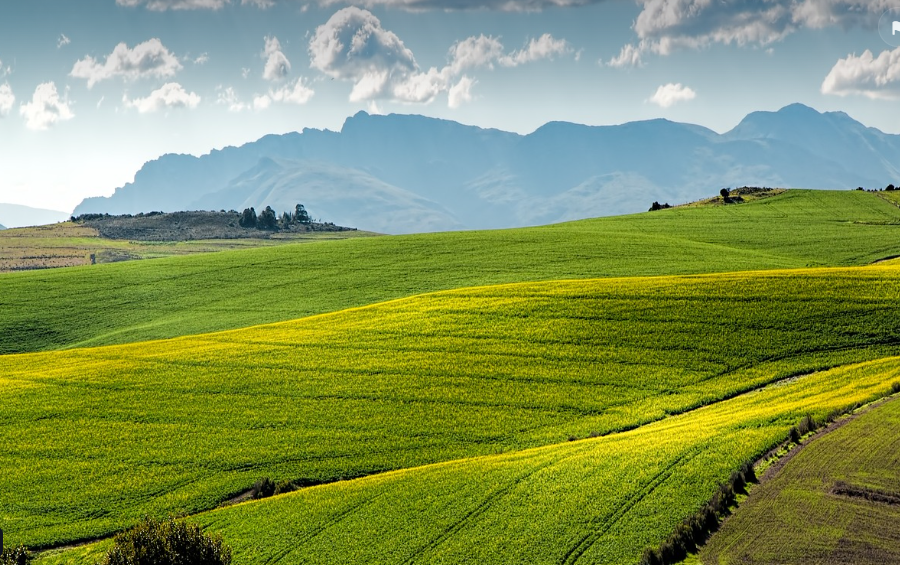 📌 농업 4.0: 디지털 혁신이 이끄는 스마트 농업의 미래