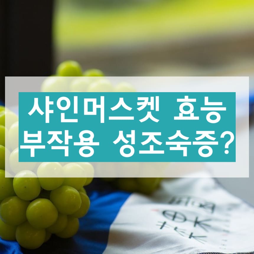 샤인머스켓 효능 부작용