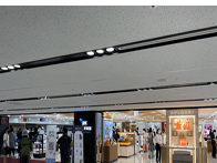 제주도 비행기표 싸게 사는법