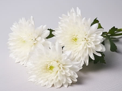 한국의 떡 종류 떡케이크-국화