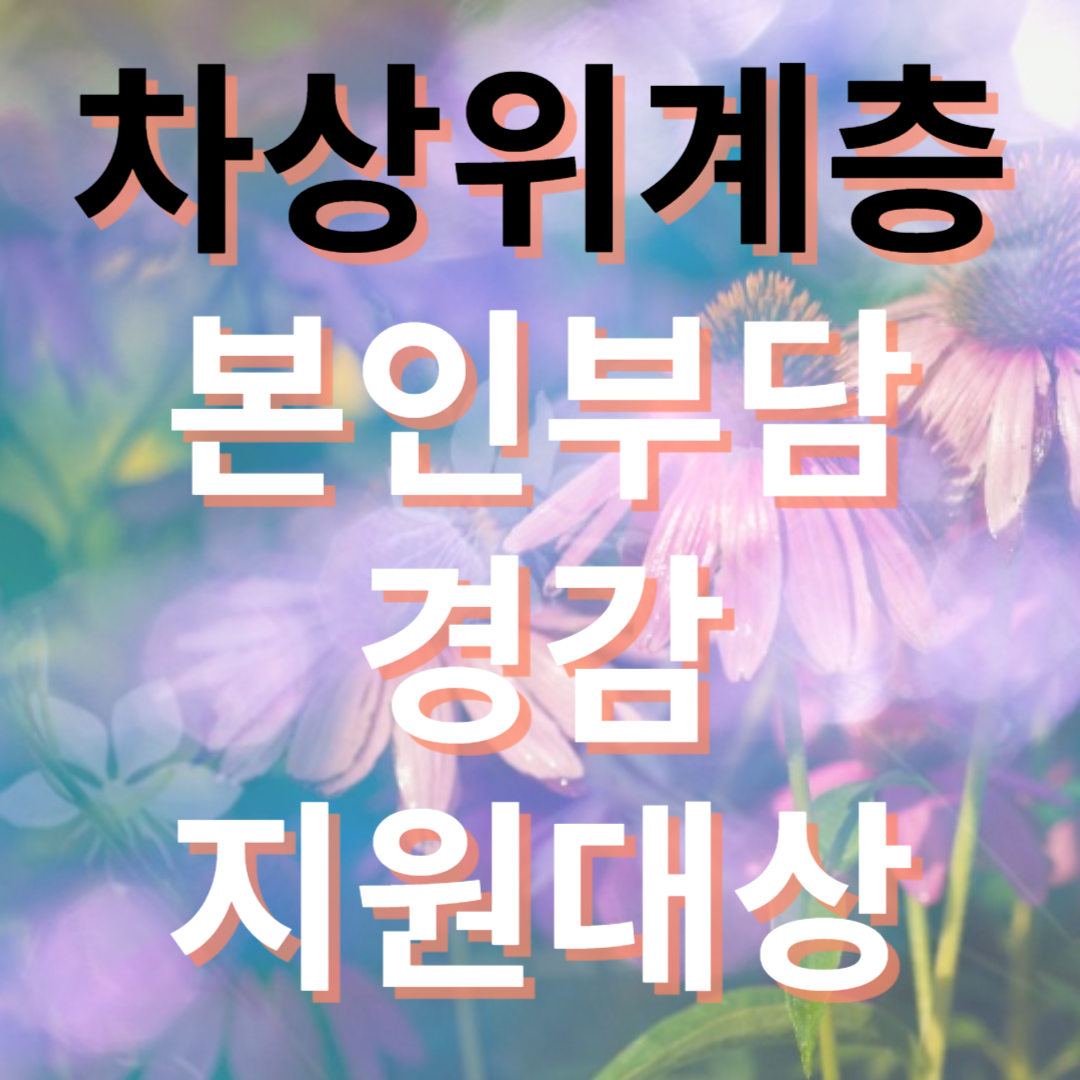 본인부담경감금 지원대상