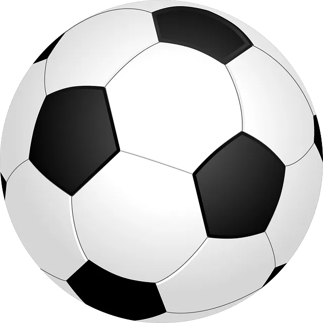 팔레스타인 vs 대한민국 축구 경기 티켓 예매 가이드
