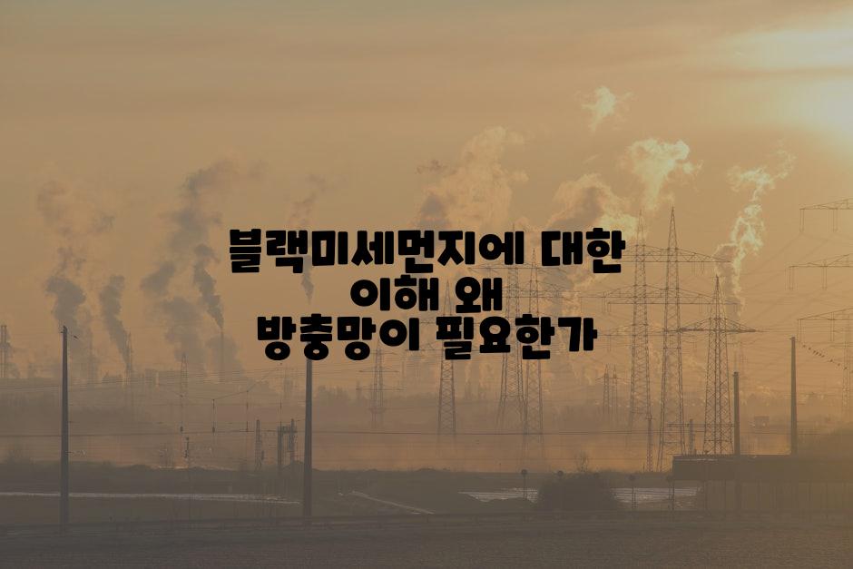 블랙미세먼지에 대한 이해 왜 방충망이 필요한가