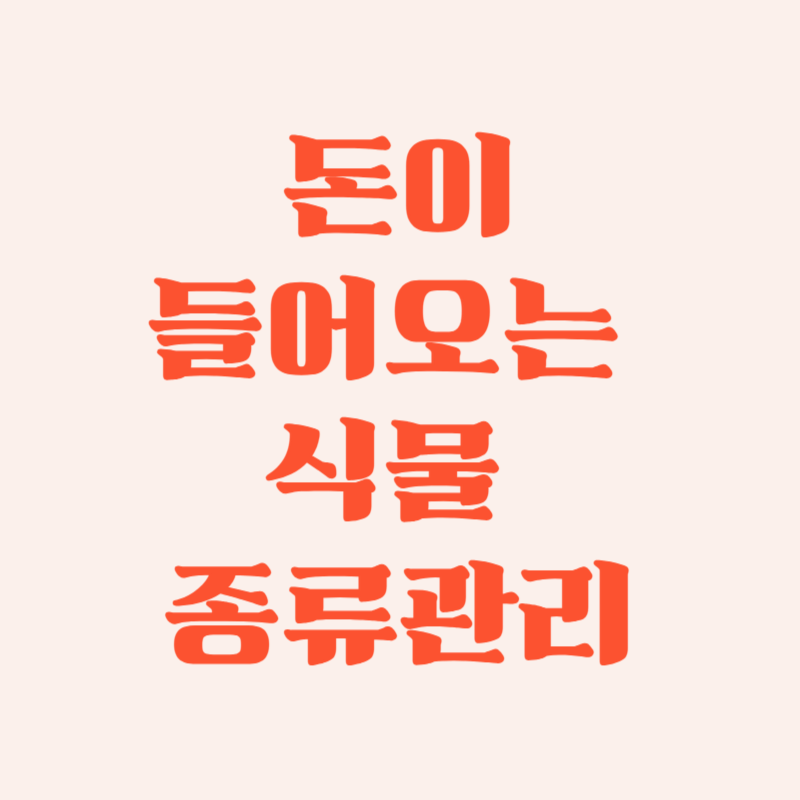 돈이 들어오는 식물 종류