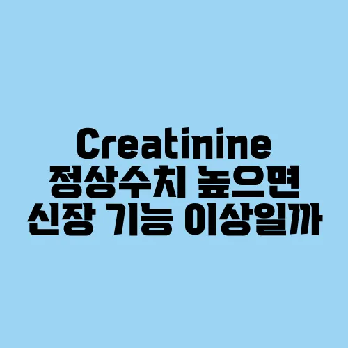 Creatinine 정상수치 높으면 신장 기능 이상일까