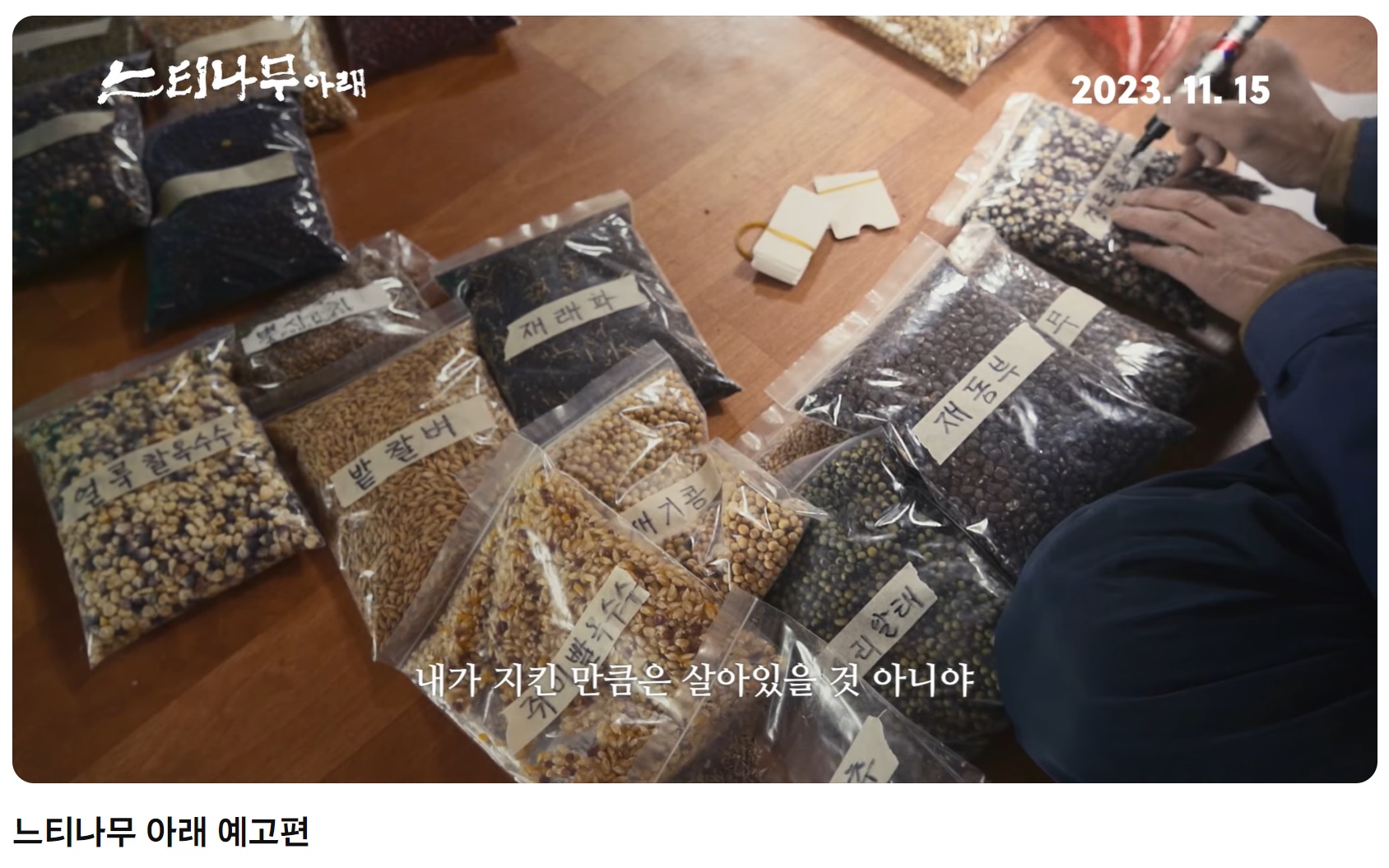 영화 예고편