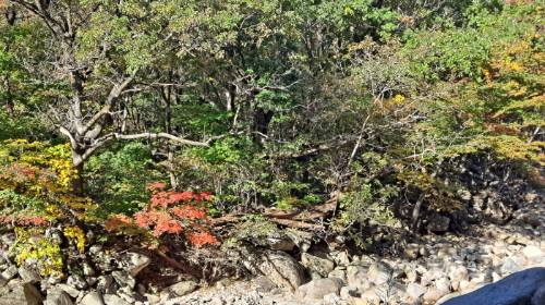 설악산_단풍여행_총정리