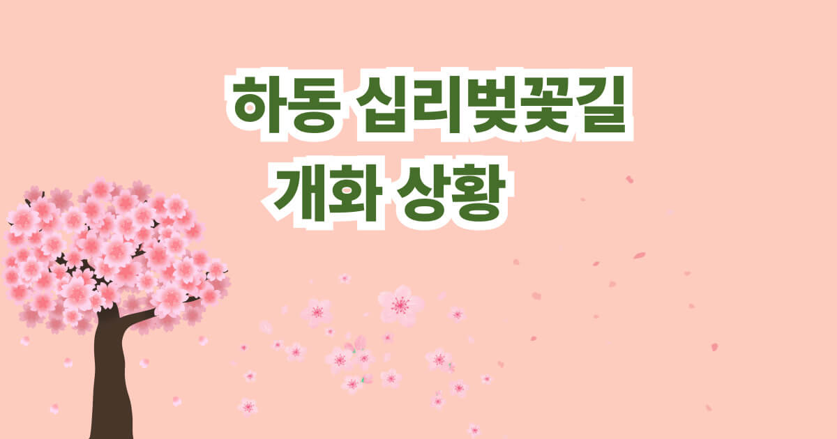 하동 십리벚꽃길 실시간 개화정보