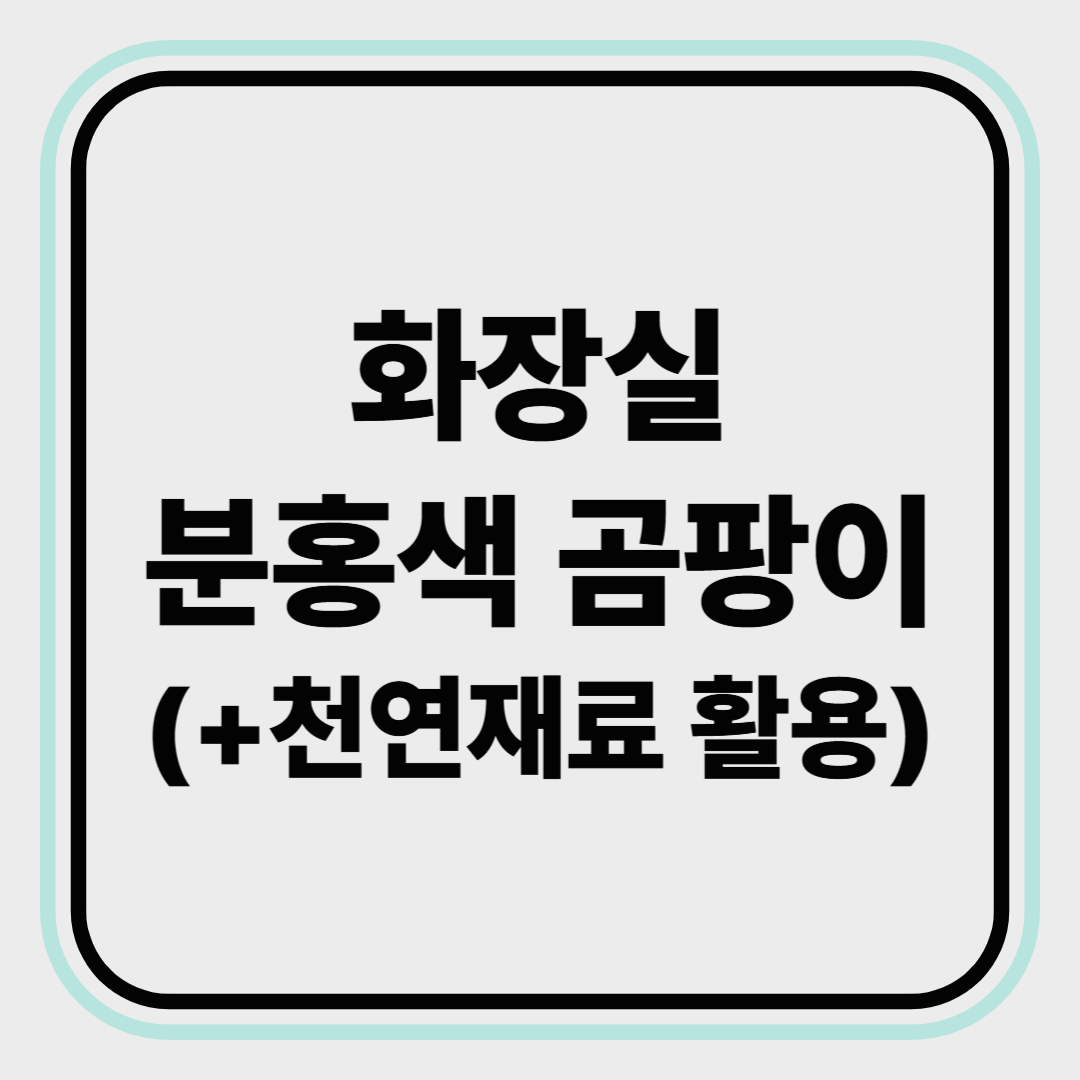 화장실 분홍색 곰팡이 원인과 제거방법