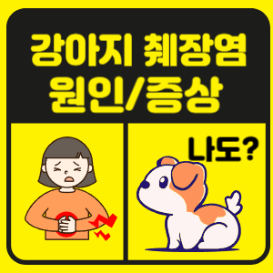 강아지 췌장염 증상