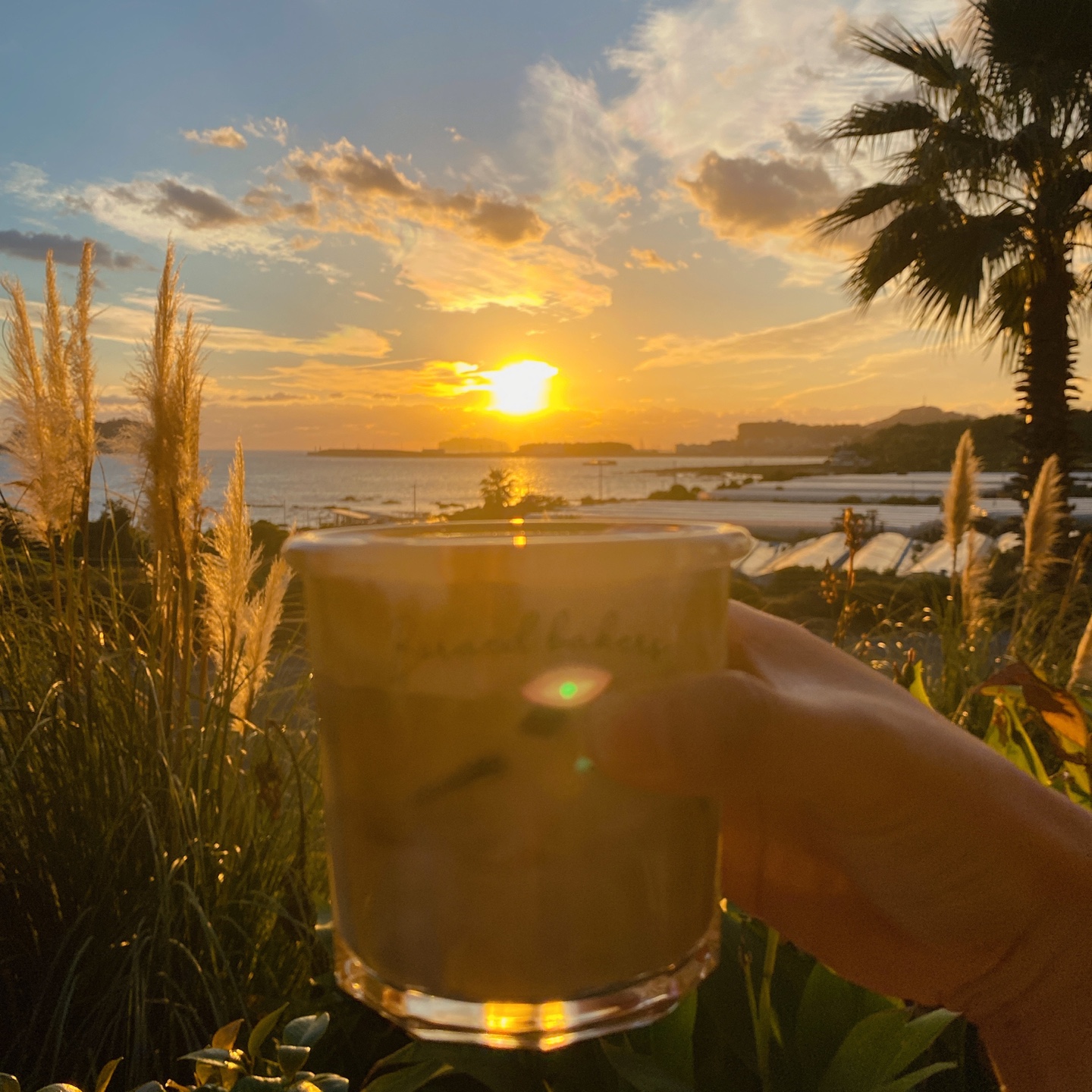 제주 쇠소깍 오션뷰 노을 맛집 보래드베이커스