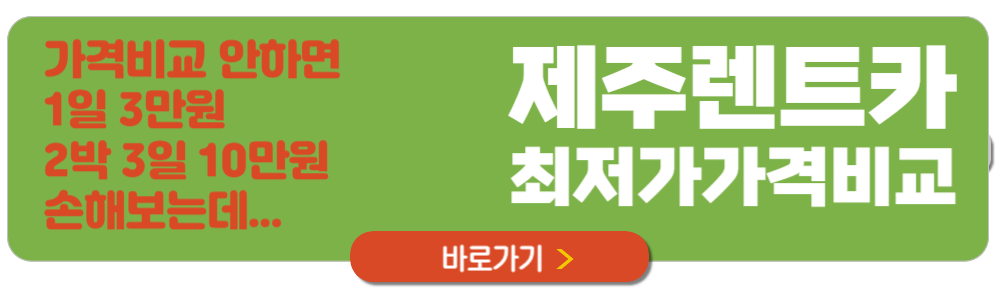 제주 축제 일정