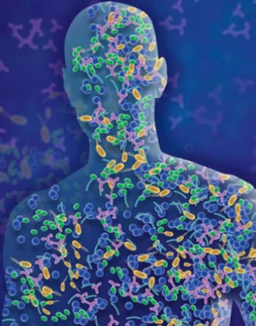 마이크로바이옴과 면역체계 강화: 건강한 삶을 위한 핵심