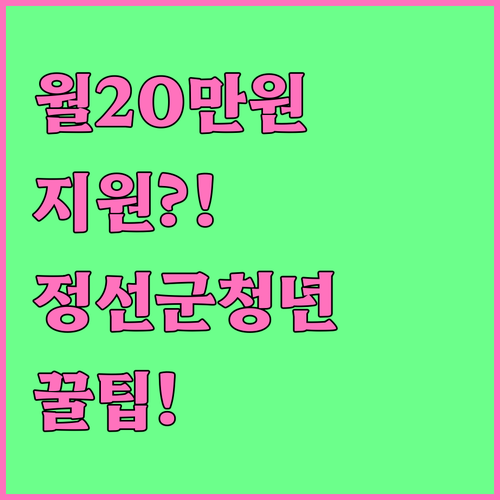 정선군 청년월세지원 월 20만원 받는..