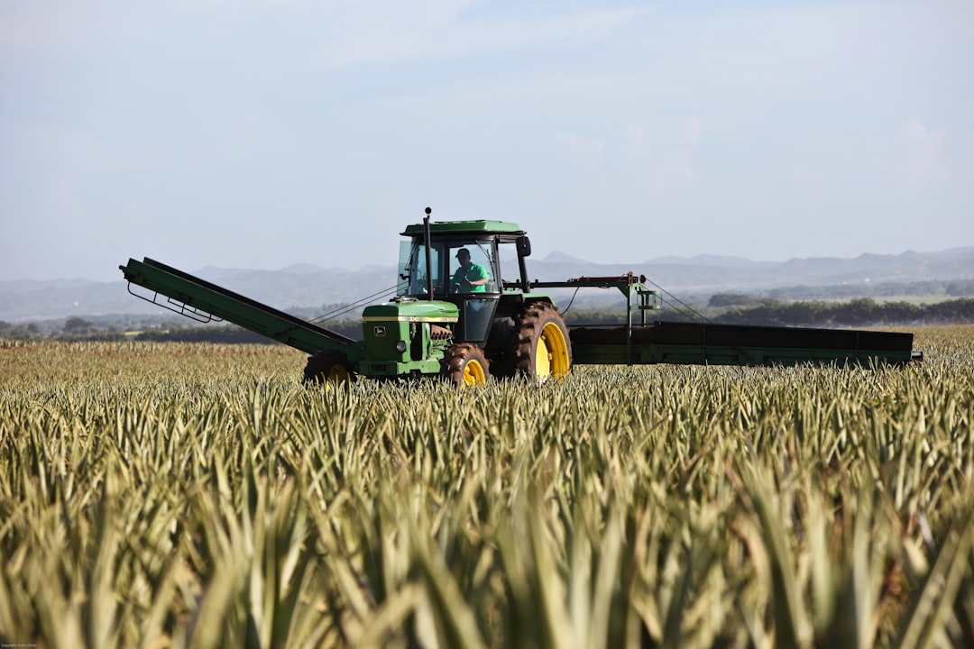 Harvest