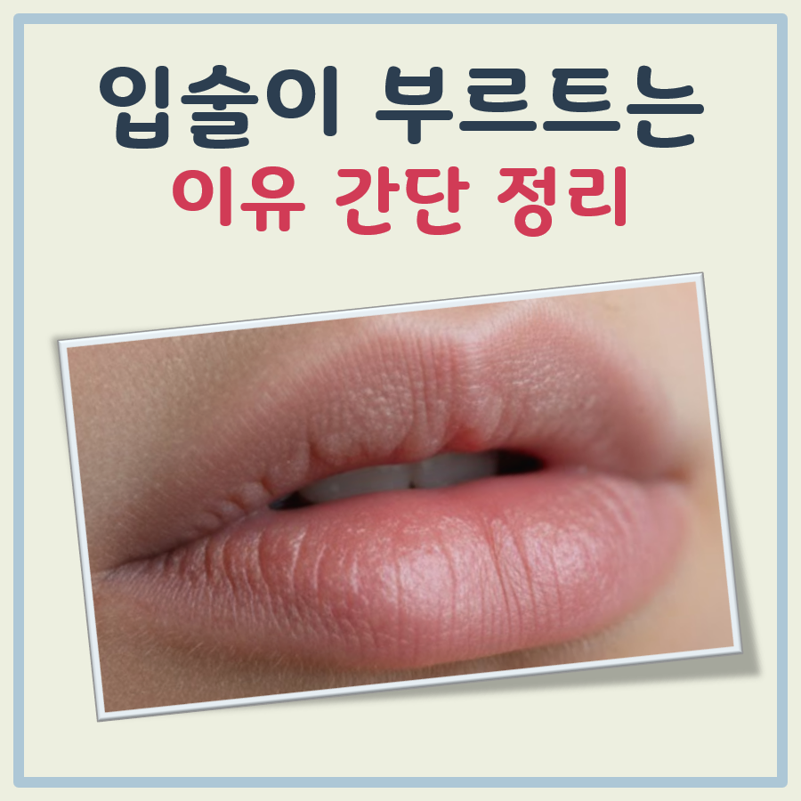입술이 부르트는 이유 대표 이미지