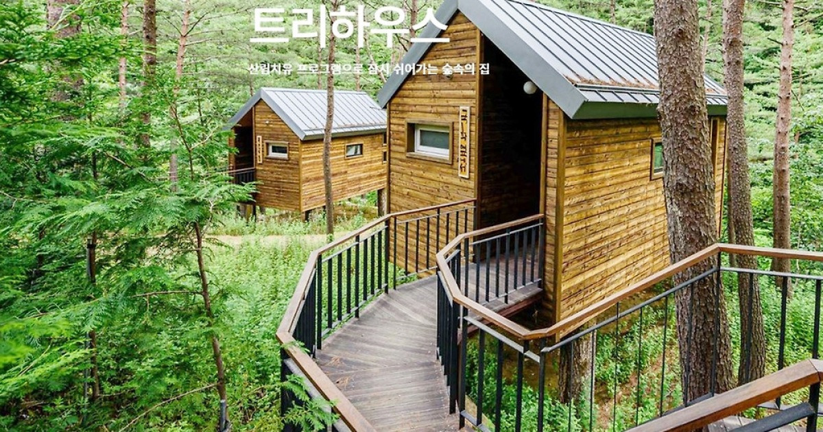 삼척 횔기 치유의 숲